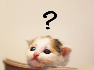 48385717_2179953748988852_6541283965456613376_n