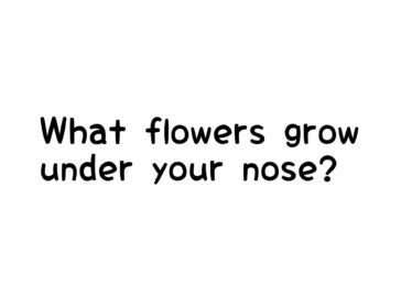 Photo_19-10-08-17-59-20.463