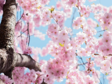 스크린샷 2022-03-06 13.10.16 13.10.16